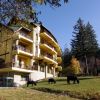 Viorel House